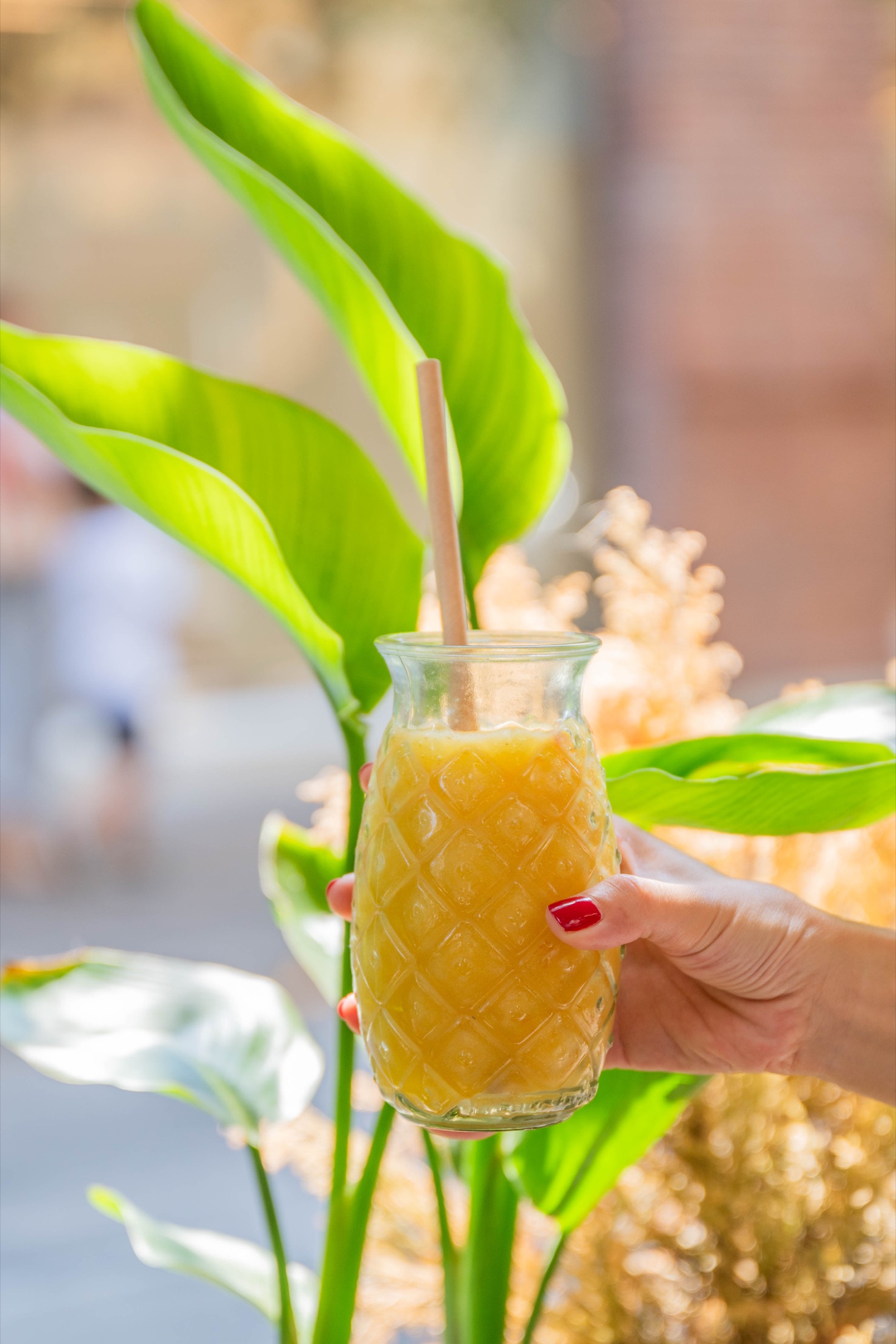 Momento Bali Coffee Girona